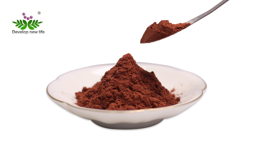 What Is Grape Seed Extract 95% OPC Used For in Supplements?